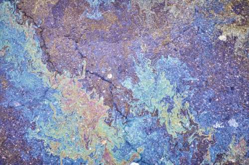 Unexpected rainbow colors in a muddy puddle.