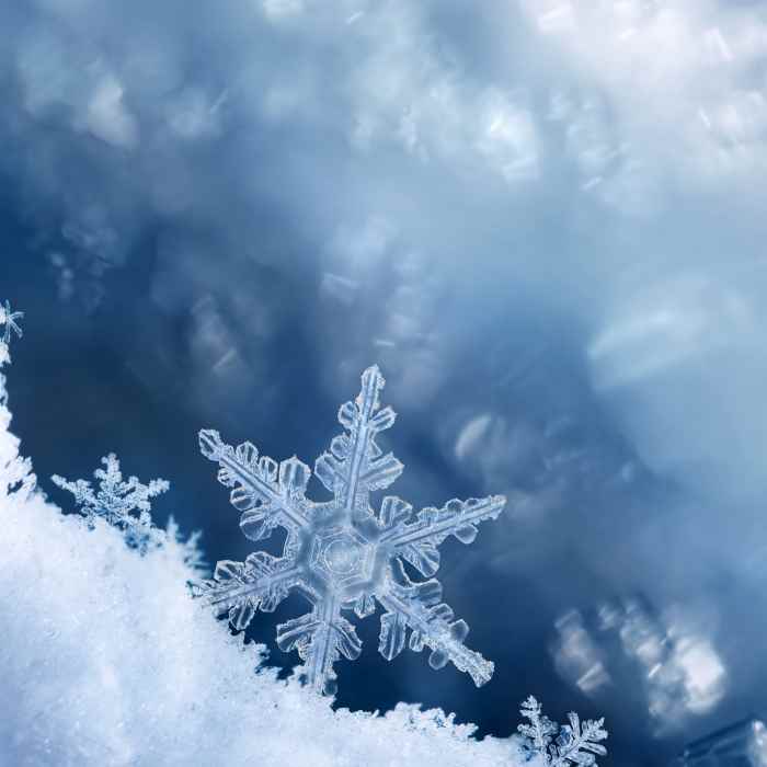 Macro photo of snowflake by Jefunne Gimpel.
