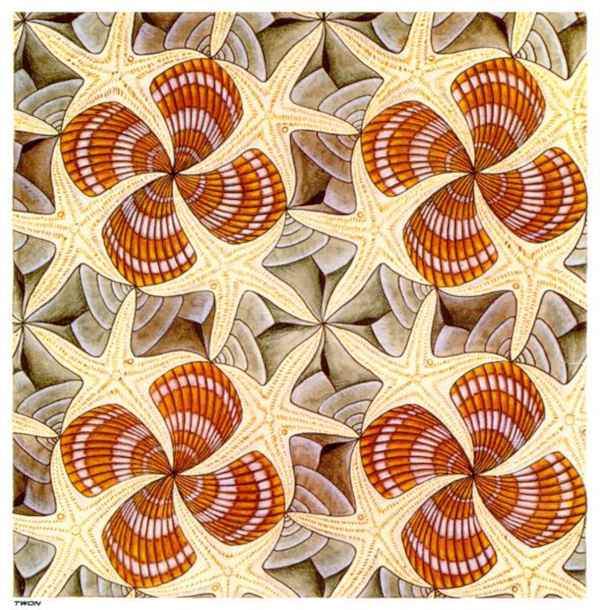 "Shells and Starfish" by M.C. Escher