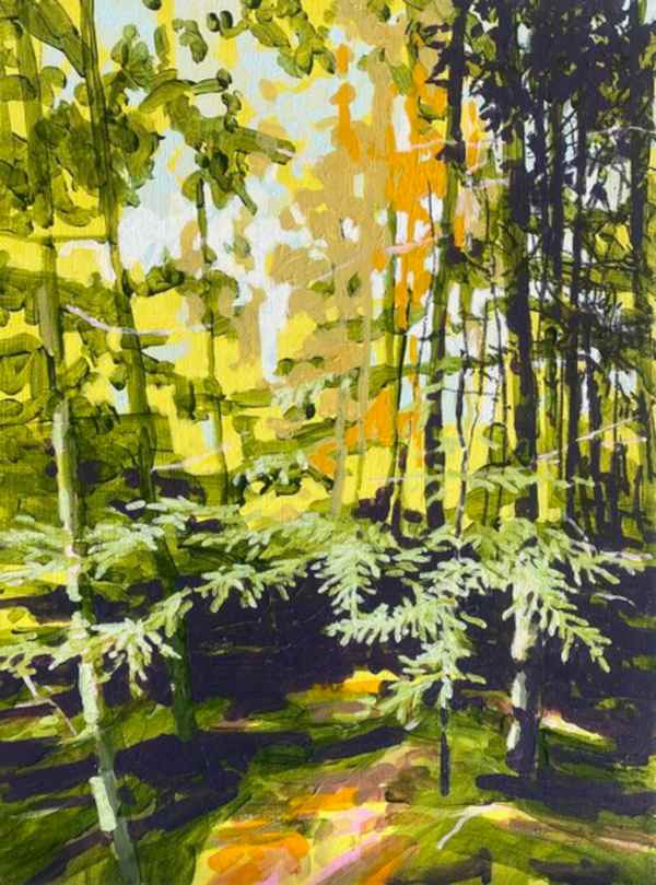 "Yellow Pine Forest" by Randall Mattheis.