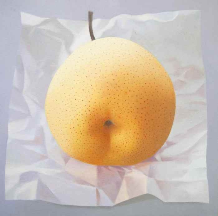 'Field 5: Chinese Pear on Paper' oil painting by Robert MacPartland.